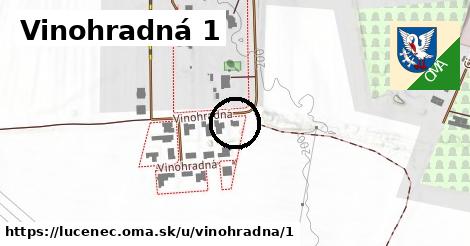 Vinohradná 1, Lučenec