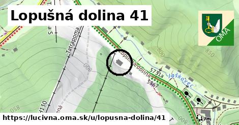 Lopušná dolina 41, Lučivná