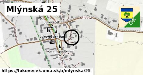 Mlýnská 25, Lukoveček