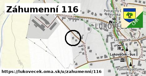 Záhumenní 116, Lukoveček