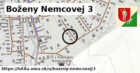 Boženy Nemcovej 3, Lutila