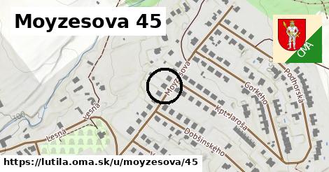 Moyzesova 45, Lutila