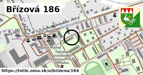 Břízová 186, Lutín