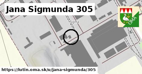 Jana Sigmunda 305, Lutín