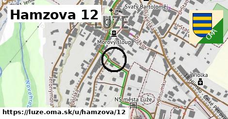 Hamzova 12, Luže