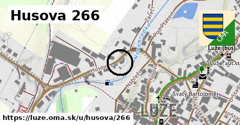 Husova 266, Luže