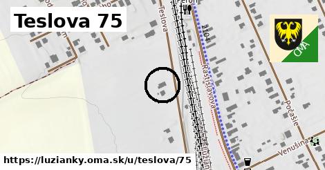 Teslova 75, Lužianky