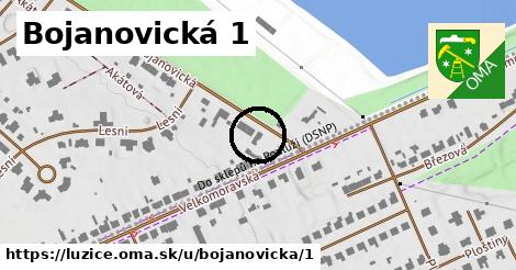 Bojanovická 1, Lužice
