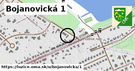 Bojanovická 1, Lužice