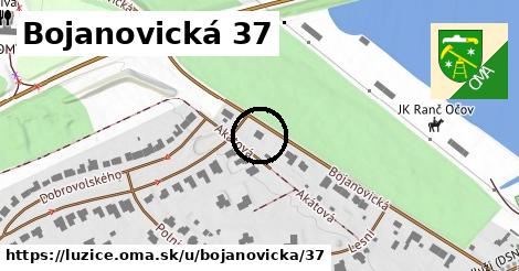Bojanovická 37, Lužice