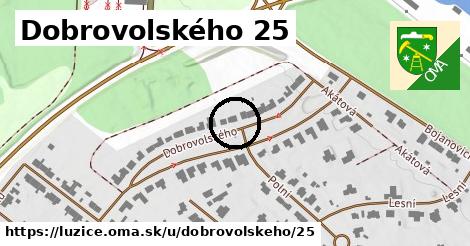 Dobrovolského 25, Lužice