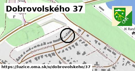 Dobrovolského 37, Lužice