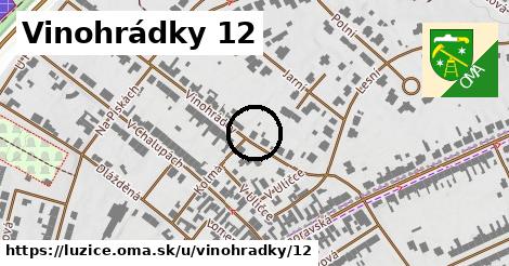 Vinohrádky 12, Lužice