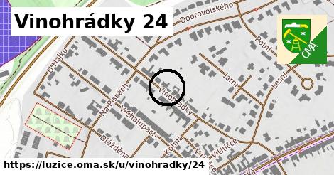 Vinohrádky 24, Lužice