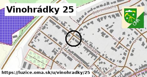 Vinohrádky 25, Lužice