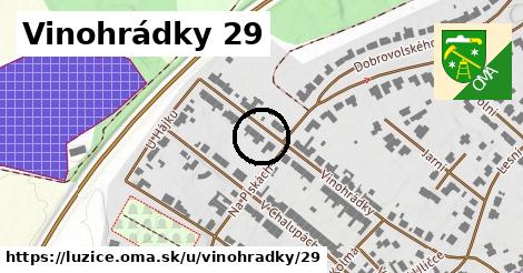 Vinohrádky 29, Lužice