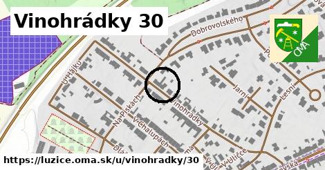 Vinohrádky 30, Lužice