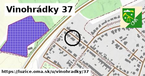 Vinohrádky 37, Lužice