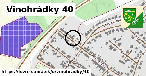 Vinohrádky 40, Lužice