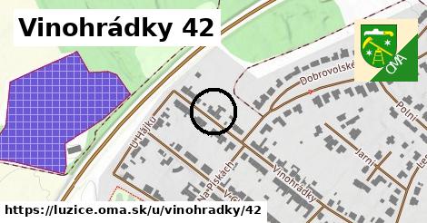 Vinohrádky 42, Lužice