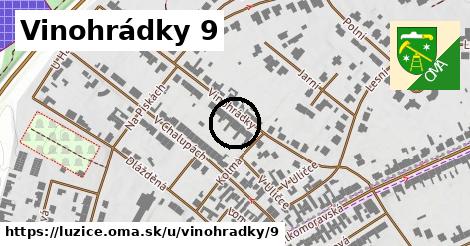 Vinohrádky 9, Lužice