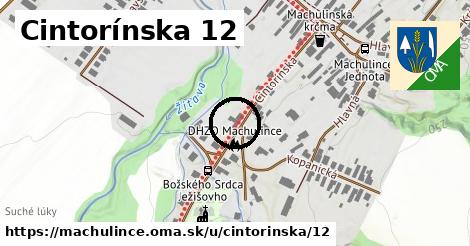 Cintorínska 12, Machulince