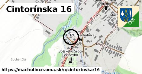 Cintorínska 16, Machulince