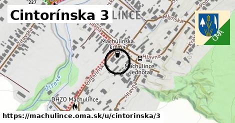Cintorínska 3, Machulince