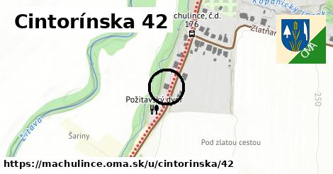 Cintorínska 42, Machulince