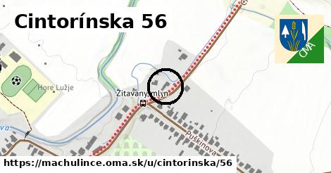 Cintorínska 56, Machulince