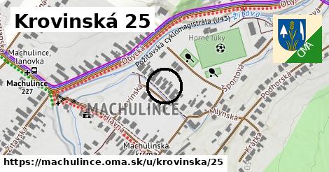 Krovinská 25, Machulince
