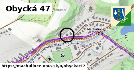 Obycká 47, Machulince