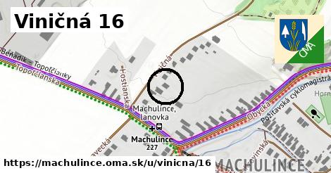 Viničná 16, Machulince