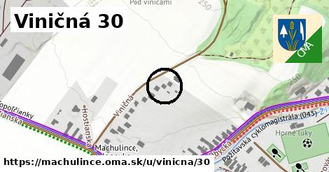 Viničná 30, Machulince