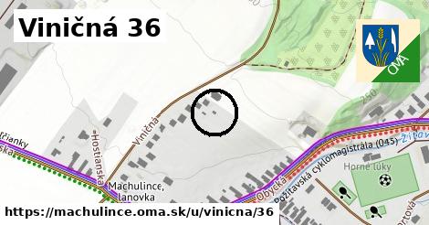 Viničná 36, Machulince