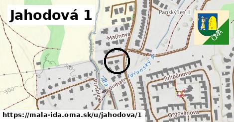 Jahodová 1, Malá Ida