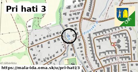 Pri hati 3, Malá Ida