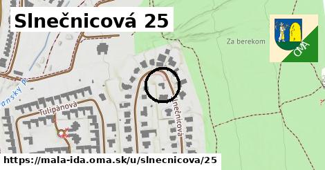 Slnečnicová 25, Malá Ida