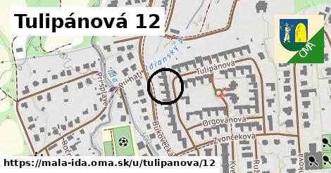 Tulipánová 12, Malá Ida