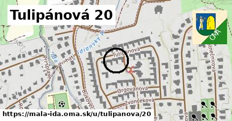 Tulipánová 20, Malá Ida