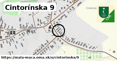 Cintorínska 9, Malá Mača