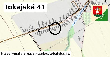 Tokajská 41, Malá Tŕňa