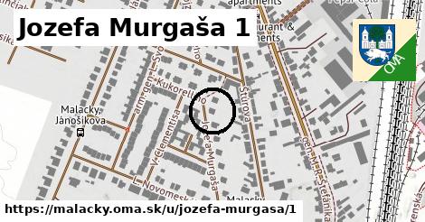 Jozefa Murgaša 1, Malacky