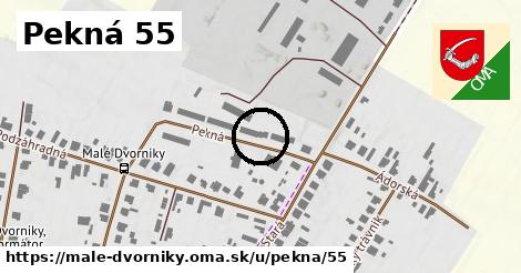 Pekná 55, Malé Dvorníky