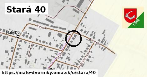 Stará 40, Malé Dvorníky