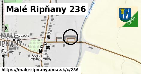 Malé Ripňany <span class="supisne">236</span>
