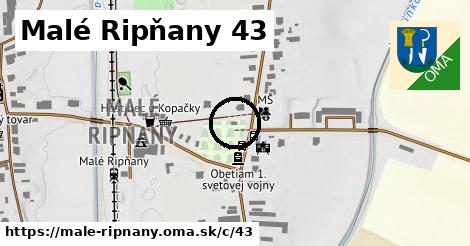 Malé Ripňany <span class="supisne">43</span>
