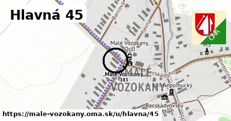Hlavná 45, Malé Vozokany