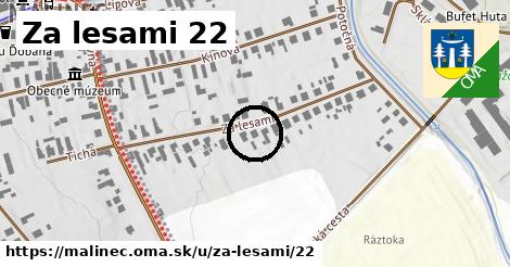 Za lesami 22, Málinec