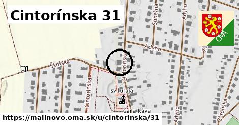 Cintorínska 31, Malinovo